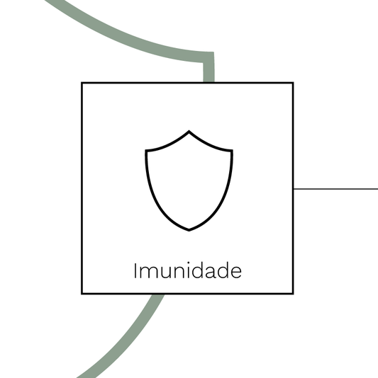 9 Suplementos para a Imunidade