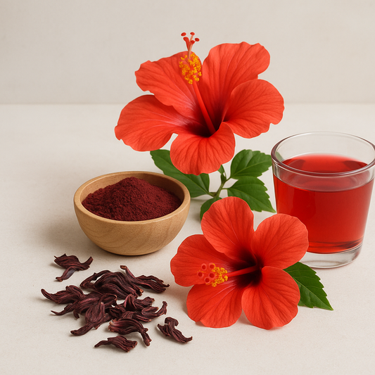 Hibiscus: Conheça os Benefícios e Como Integrá-lo na Sua Rotina