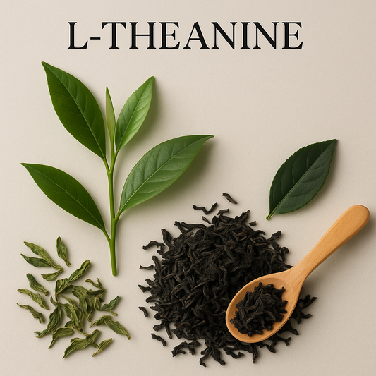 L-teanina: O Aminoácido que Ajuda a Combater o Stress e a Ansiedade