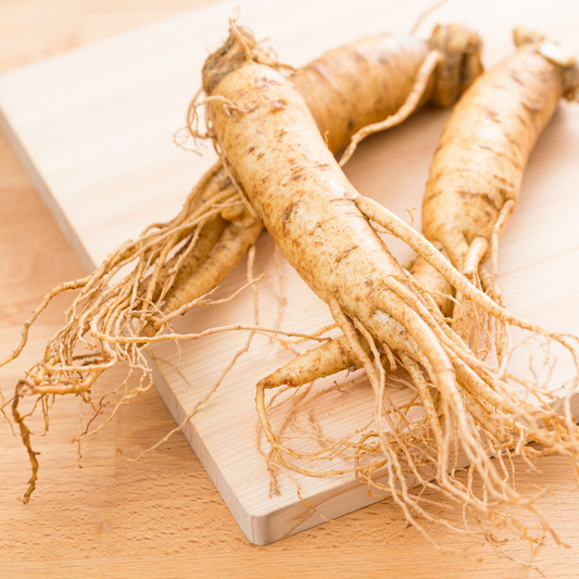 3 Benefícios do Panax Ginseng