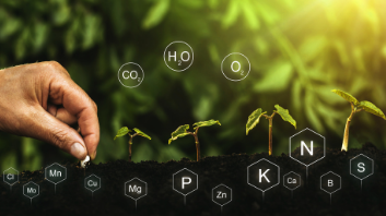 Minerais: seus benefícios e fontes