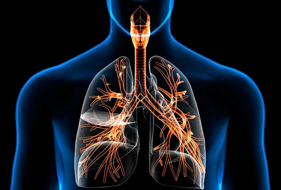 N-Acetilcisteína (NAC): O que é e para que serve?