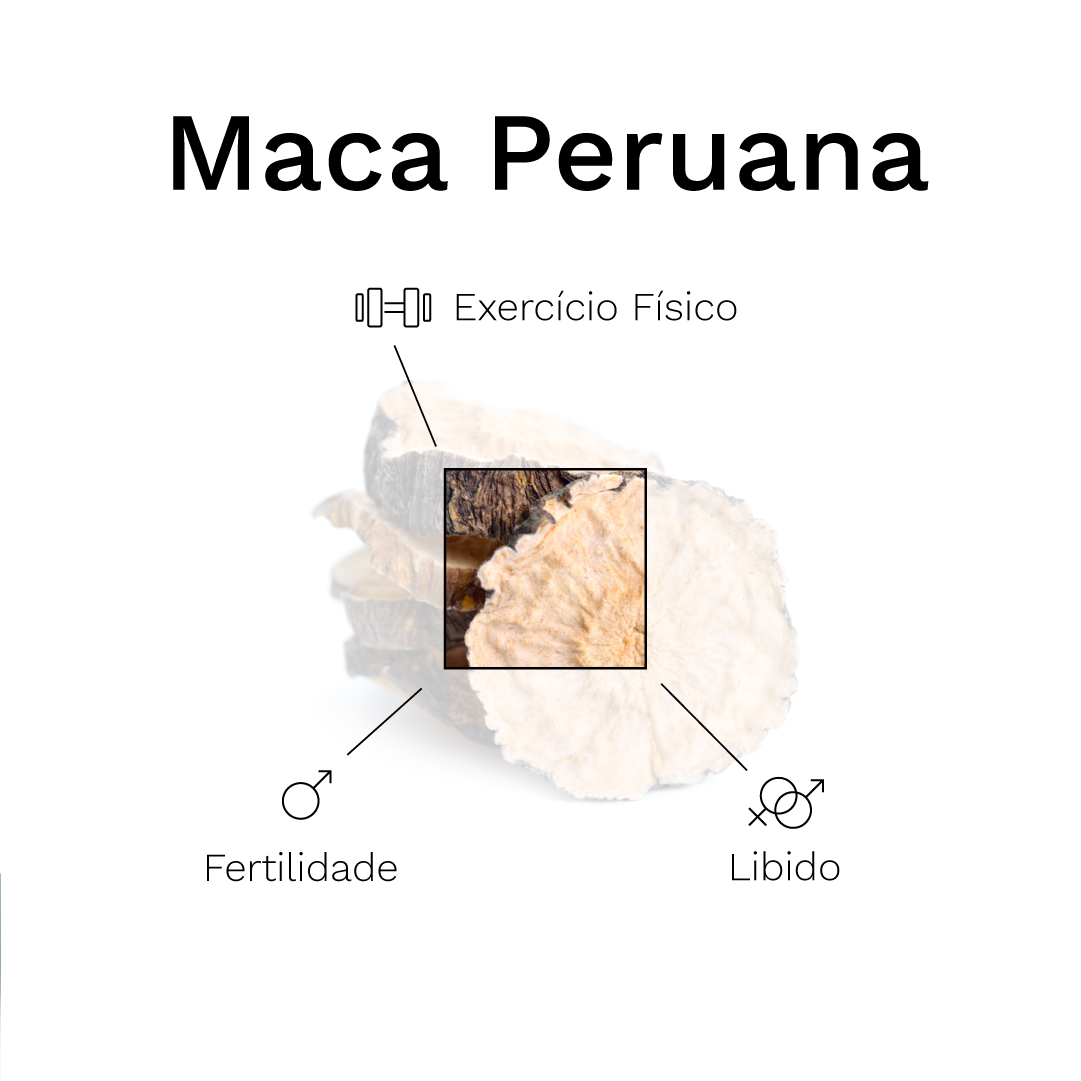 Maca peruana para melhorar sua energia diária e sua vida sexual
