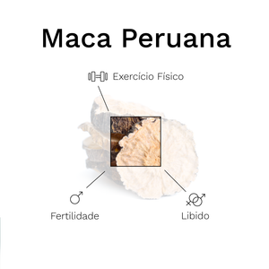 Maca peruana para melhorar sua energia diária e sua vida sexual