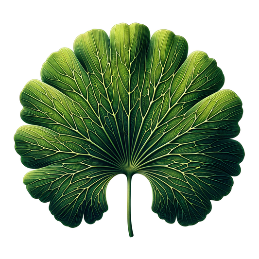 Desvendando os Benefícios da Gingko Biloba para a Saúde Cerebral