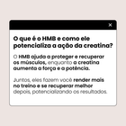 Creatina com HMB Sabor Pink Lemonade SetYou