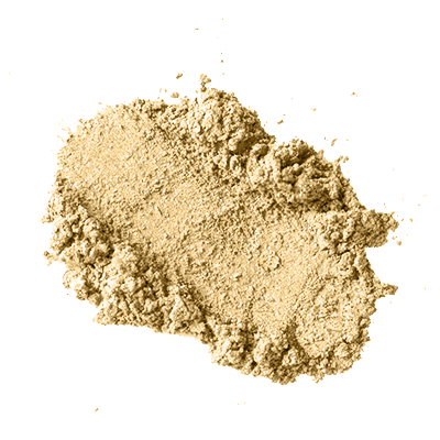 Astragalus